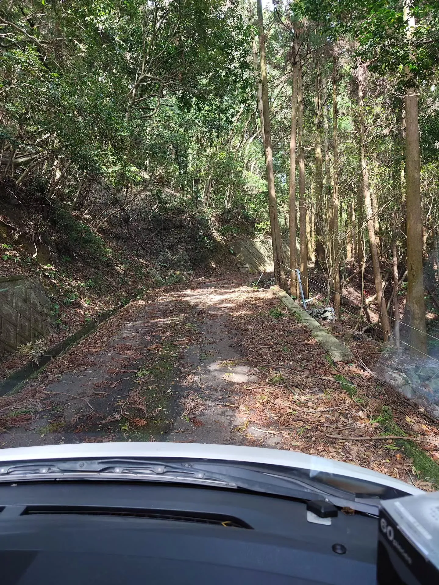 (諫早市/整骨院)花はな整骨院です